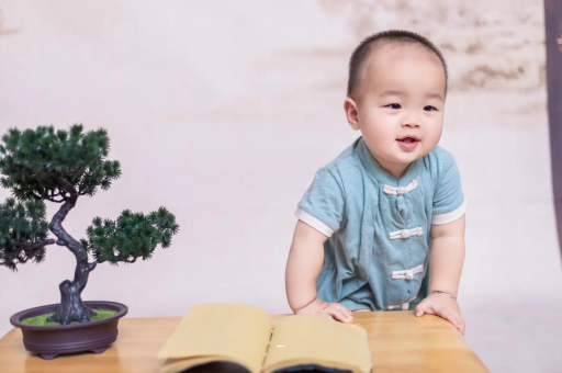 保亭可爱的企鹅宝宝